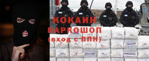 ECSTASY Богданович