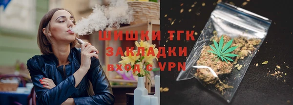 соль ск Богородск