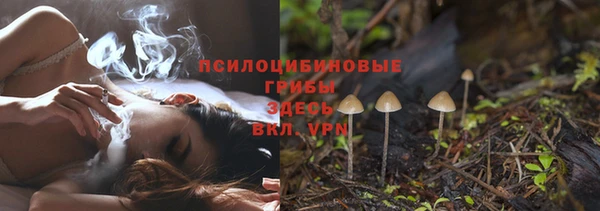 MDMA Богородицк
