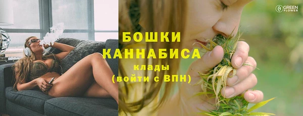 ECSTASY Богданович