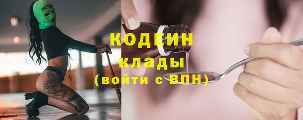 соль ск Богородск