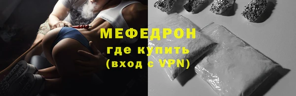 ECSTASY Богданович