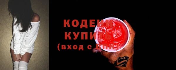 ECSTASY Богданович