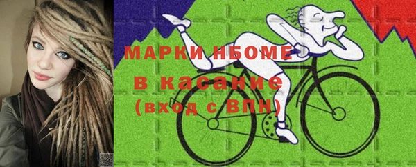 соль ск Богородск