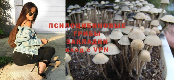 ECSTASY Богданович