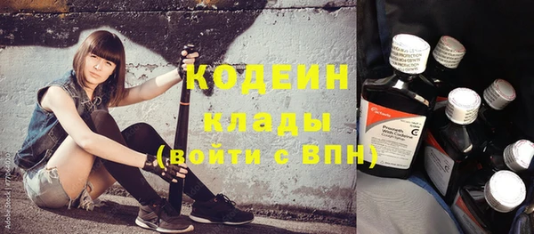 ECSTASY Богданович