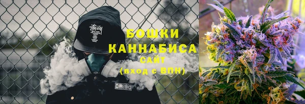 соль ск Богородск