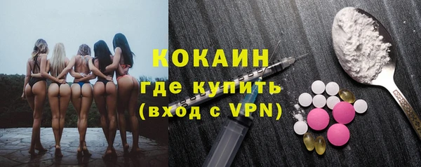 ECSTASY Богданович