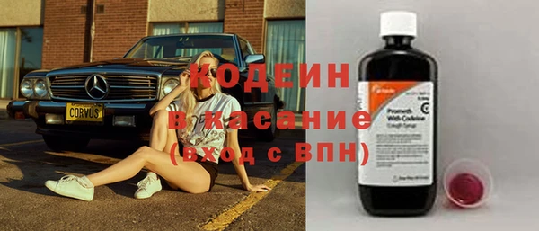 ECSTASY Богданович